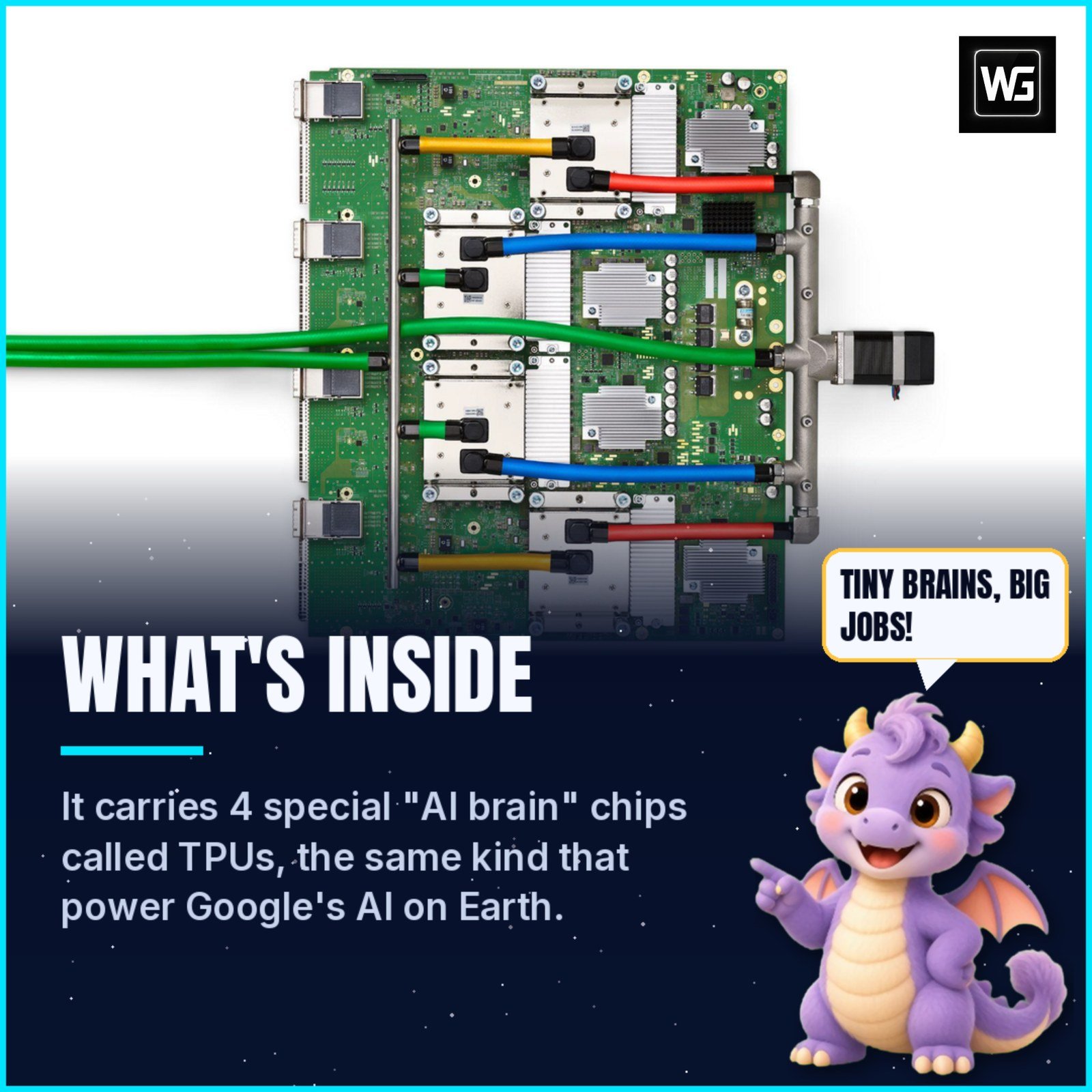 Google TPU v4 circuit board with colourful cables, with the text 'What's inside' and Pip the dragon saying 'Tiny brains, big jobs!'